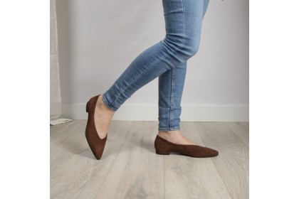 Bailarinas marrones punta fina NOELIA - LT ZAPATOS de mujer